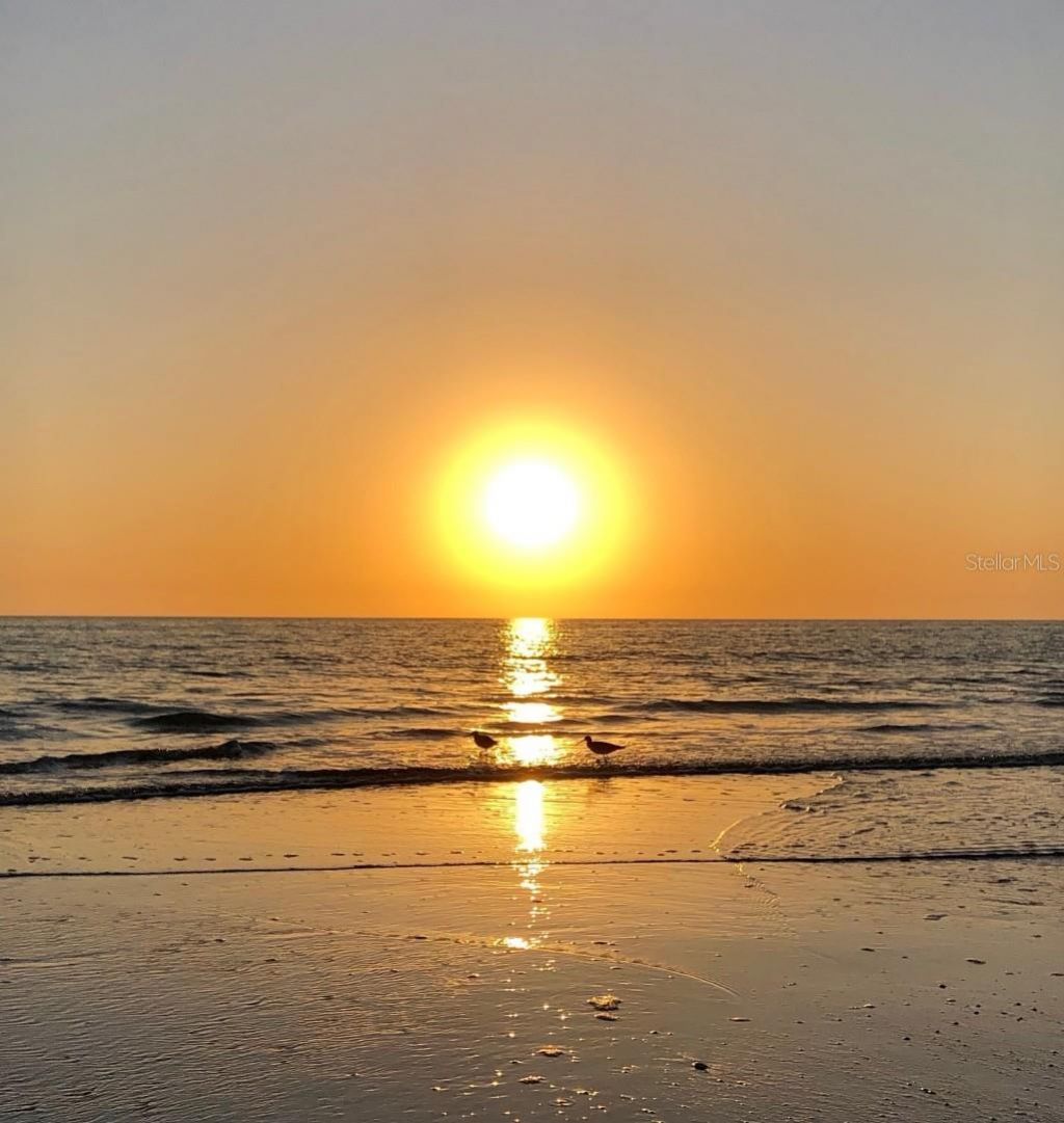15462 Gulf Boulevard, Unit 1006, Madeira Beach, FL 33708 Photo