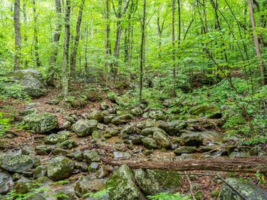 1509 Spruce Creek, Nellysford, VA 22958