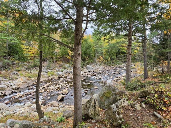 1588 Roxbury Road , Roxbury, ME 04275