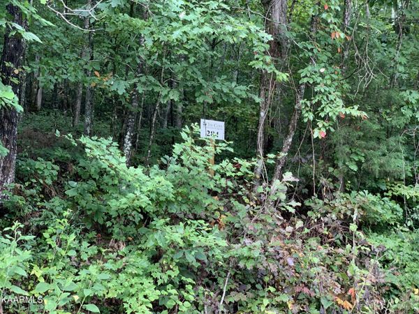 4507 Huffine Rd , Unit 284, Loudon, TN 37774