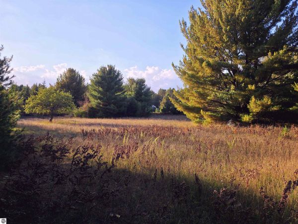 8 Betsie River Road, Interlochen, MI 49643