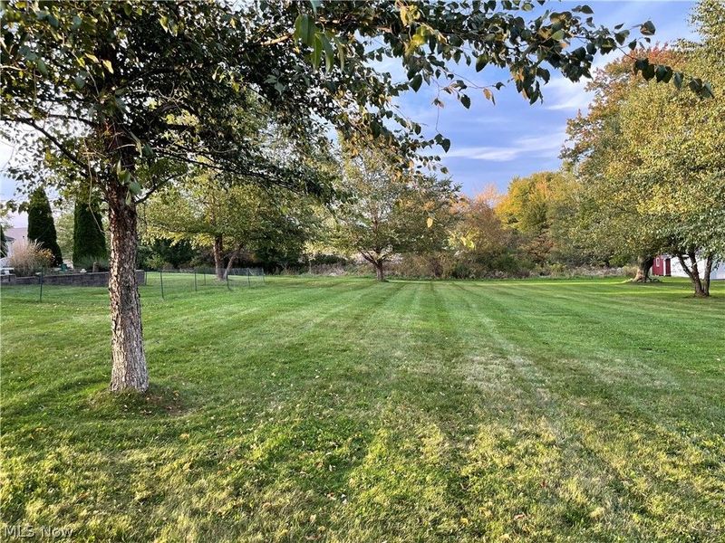 1040 Calla Road E, Poland, OH 44514 Photo 9