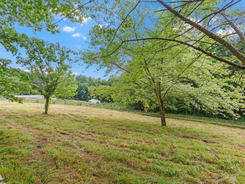 35 White Road , Nelsonville, OH 45764 Photo 54
