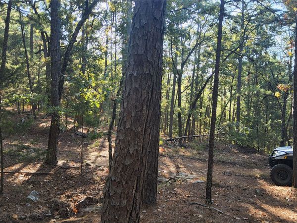 Kimbrough Creek Road , Moyers, OK 74557