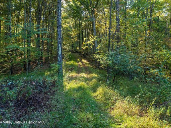 8780 New York 32, Freehold, NY 12431