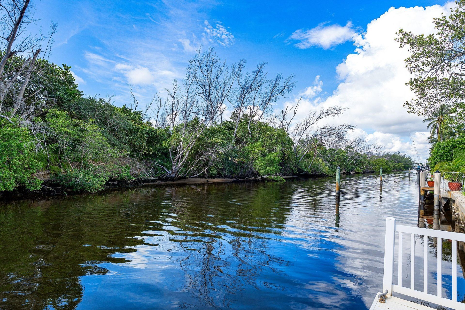 348 E Alexander Palm Road, Boca Raton, FL 33432 Photo