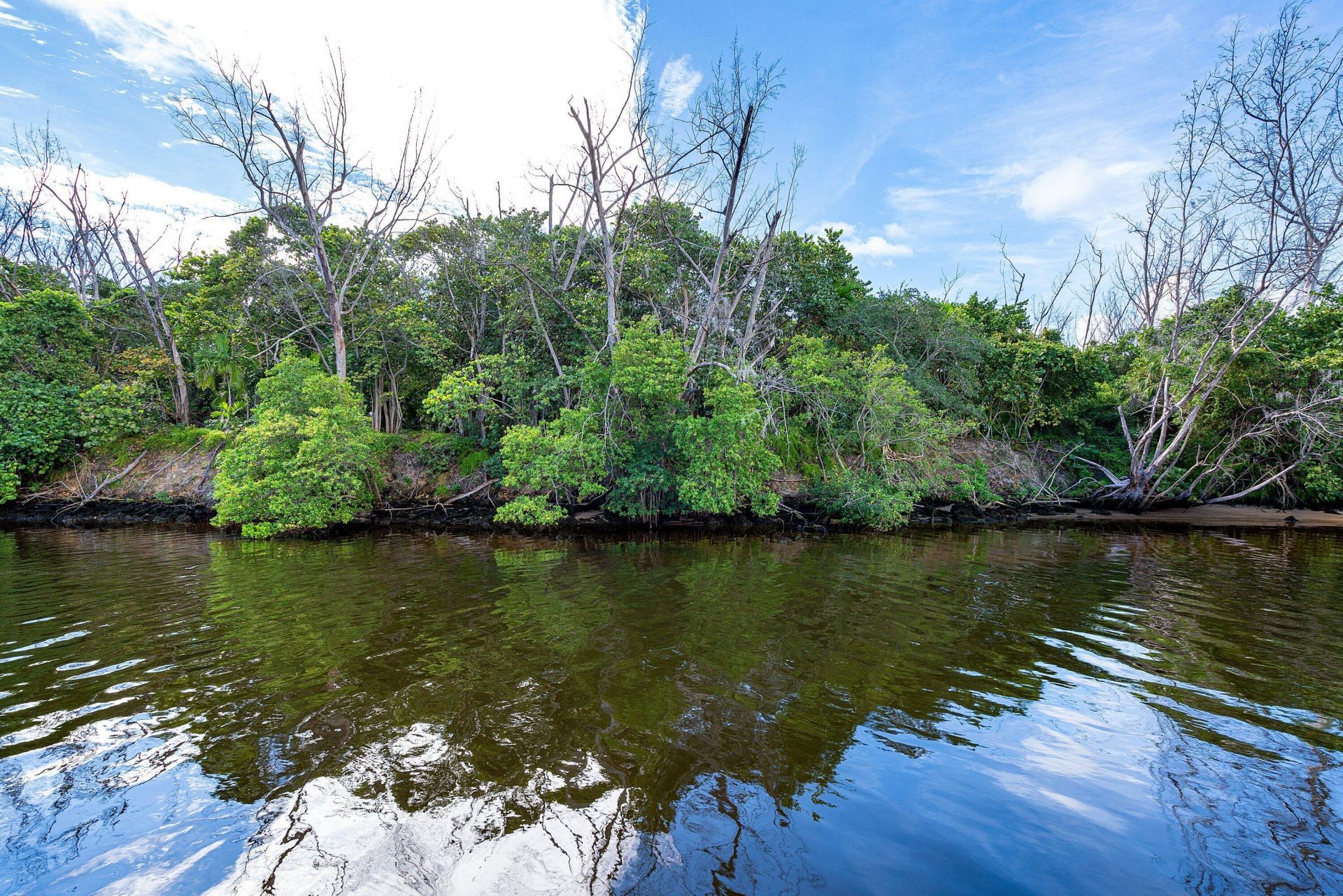 348 E Alexander Palm Road, Boca Raton, FL 33432 Photo