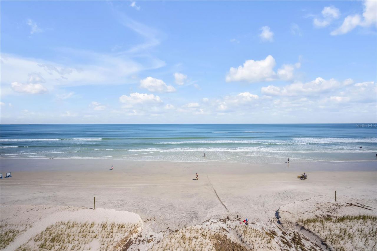 2401 S Atlantic Avenue, Unit D305, New Smyrna Beach, FL 32169 Photo