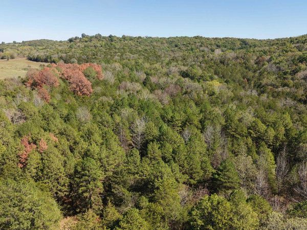 8A Lafferty Road , Mount Pleasant, AR 72561