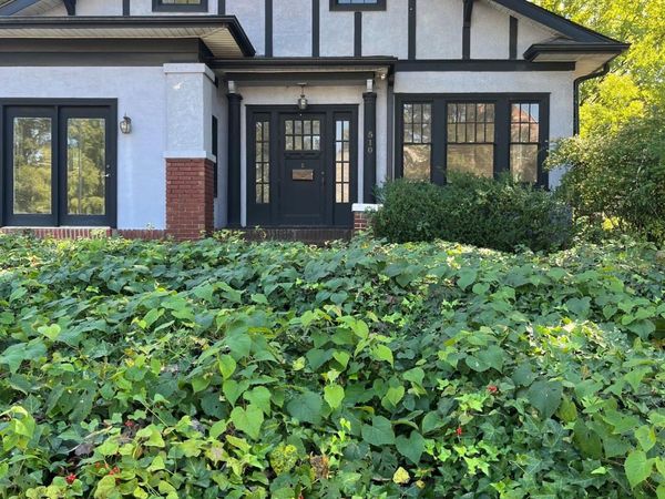 510 Hawthorne Lane, Charlotte, NC 28204