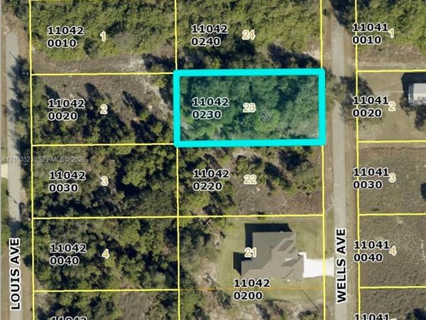 1921 WELLS AVE , Lehigh Acres, FL 33972