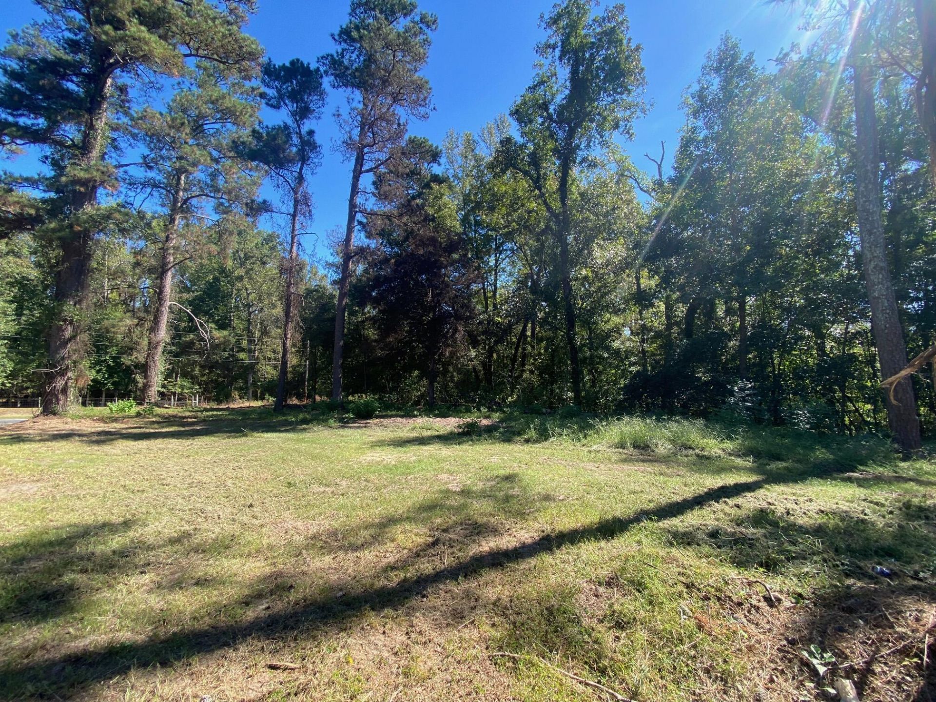 738 Todd Creek Road Photo 4