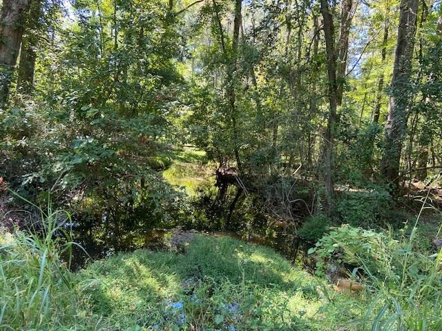 738 Todd Creek Road Photo 7