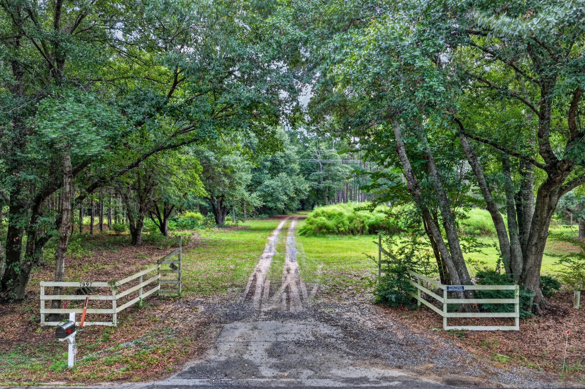 7997 Doar Road Photo 10