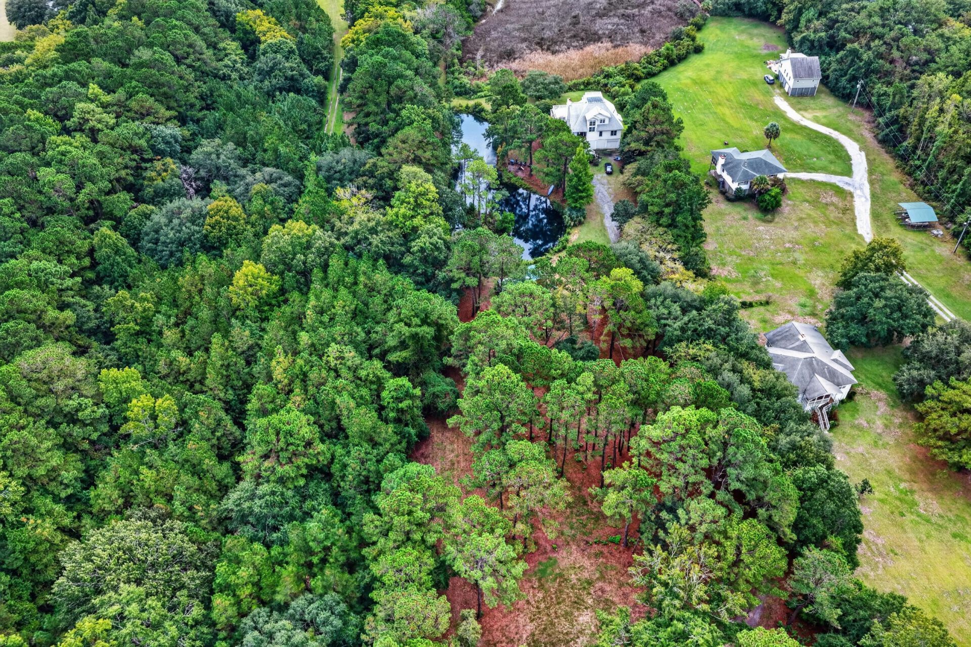 7997 Doar Road Photo 15