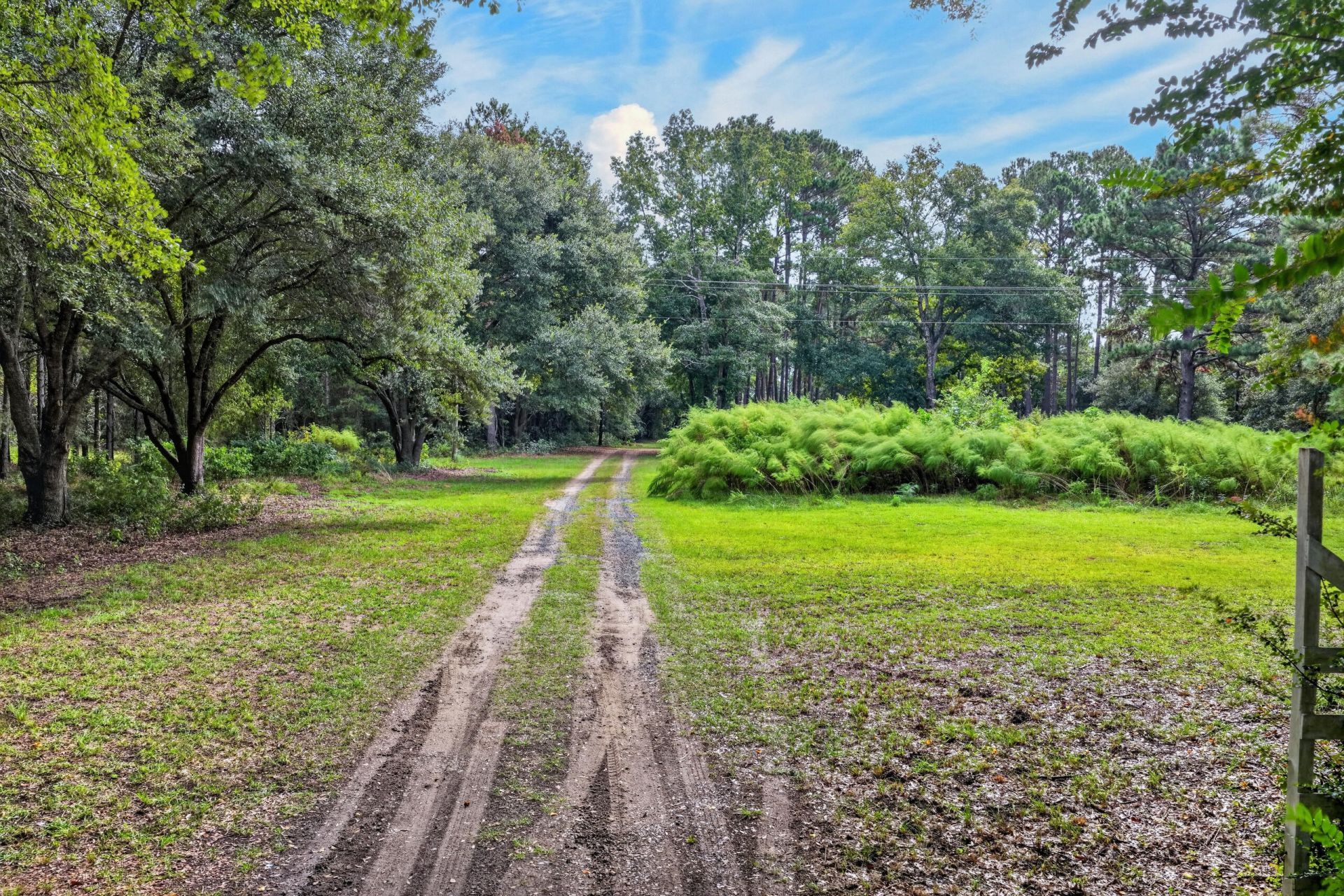 7997 Doar Road Photo 22