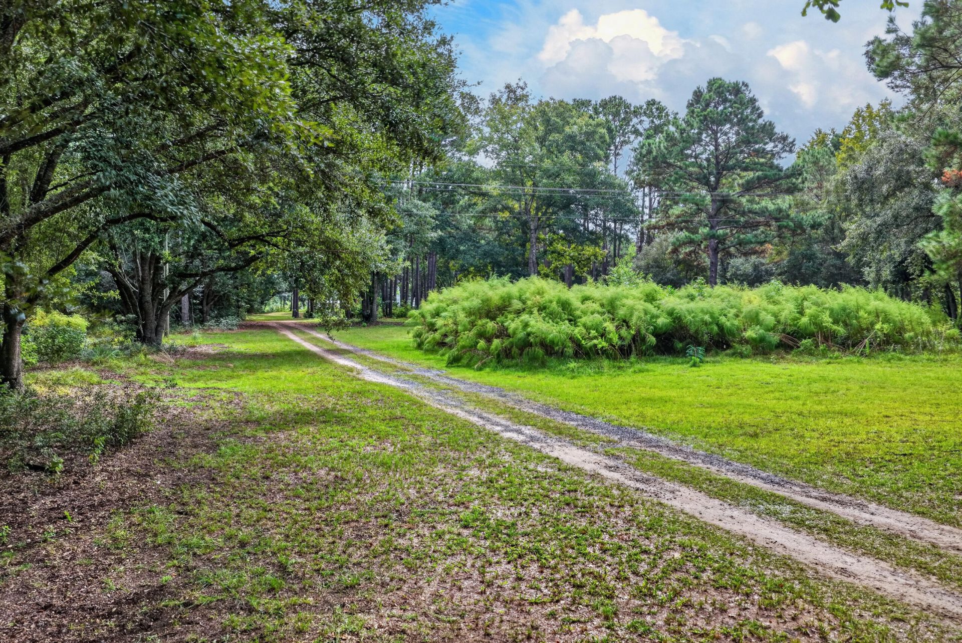 7997 Doar Road Photo 24