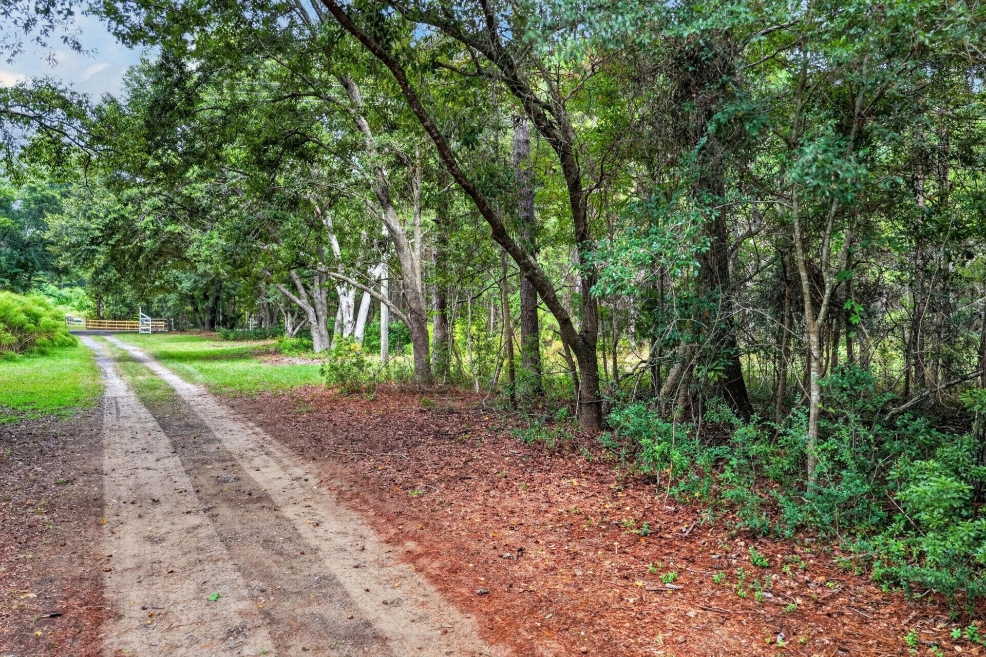 7997 Doar Road Photo 27