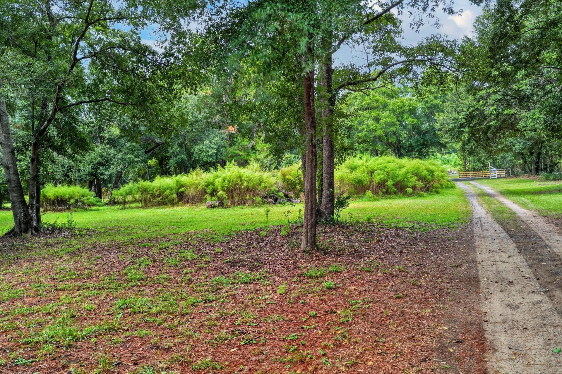 7997 Doar Road Photo 28