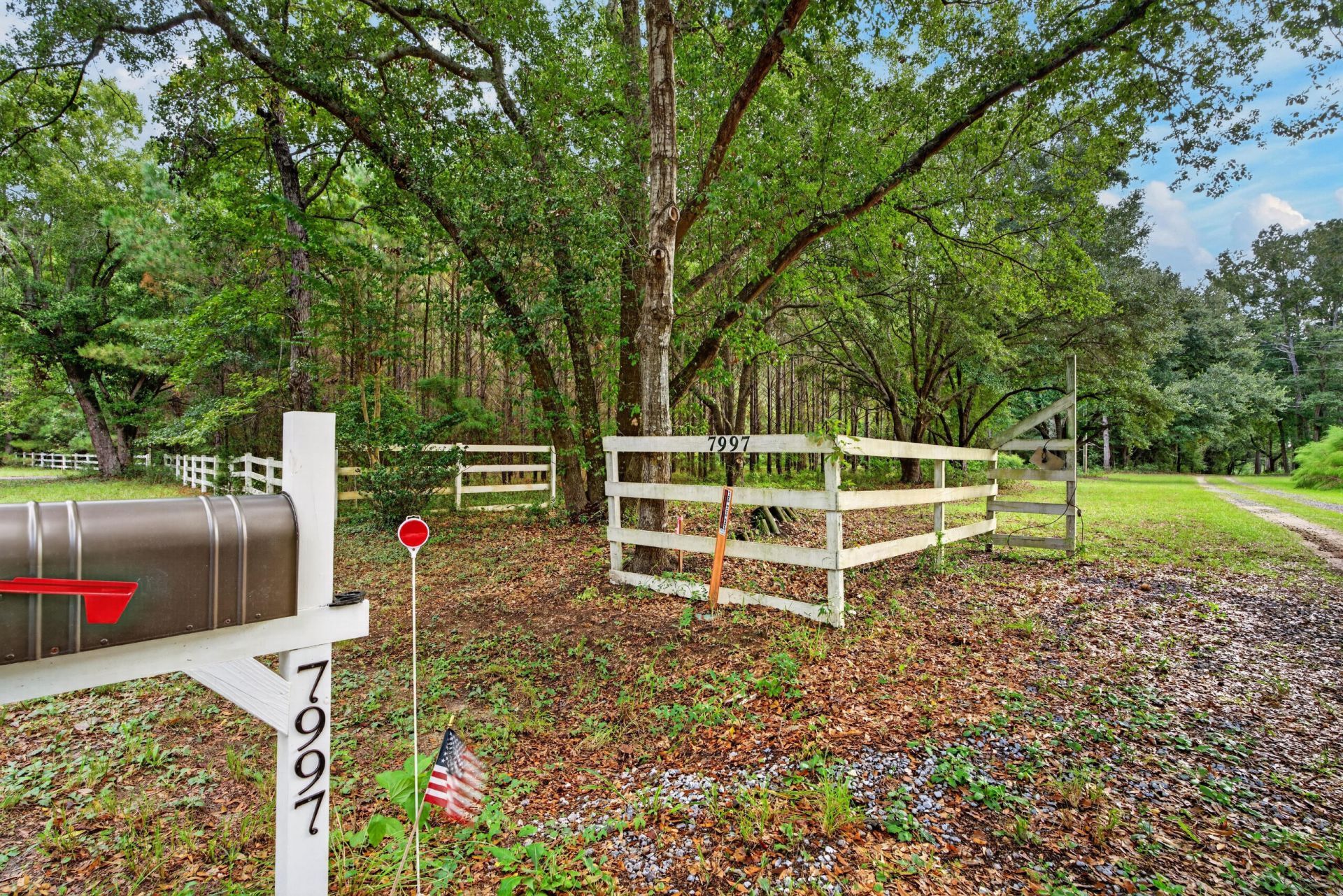 7997 Doar Road Photo 6
