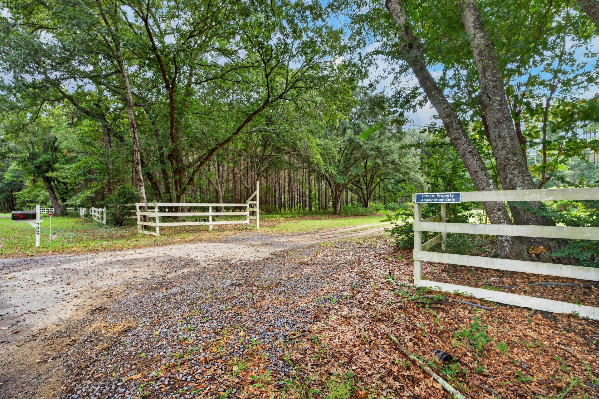 7997 Doar Road Photo 7