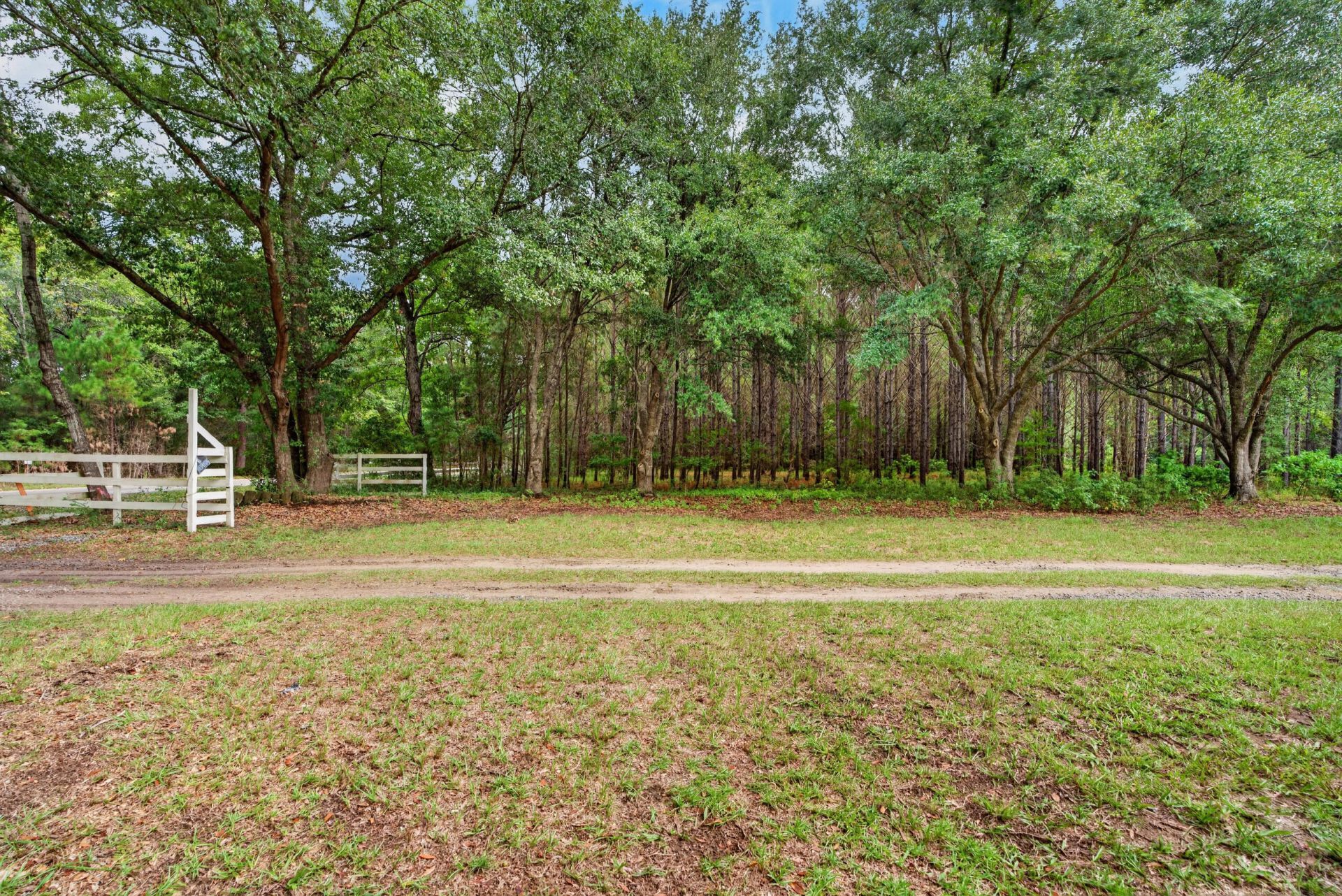 7997 Doar Road Photo 9
