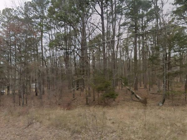 Lot 100 Robinhood Trail , Fairfield Bay, AR 72088