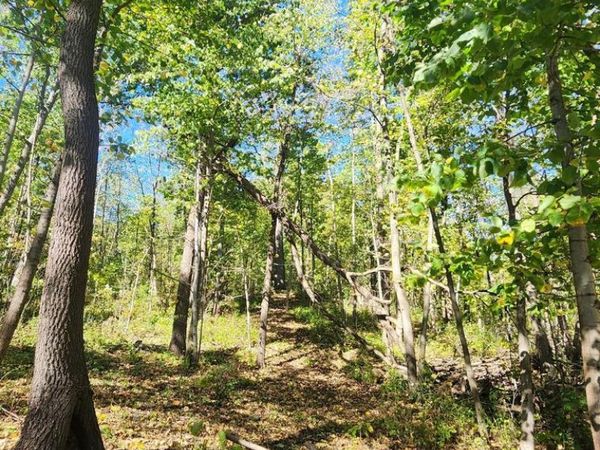 Lot0 312TH AVENUE, Kansasville, WI 53139