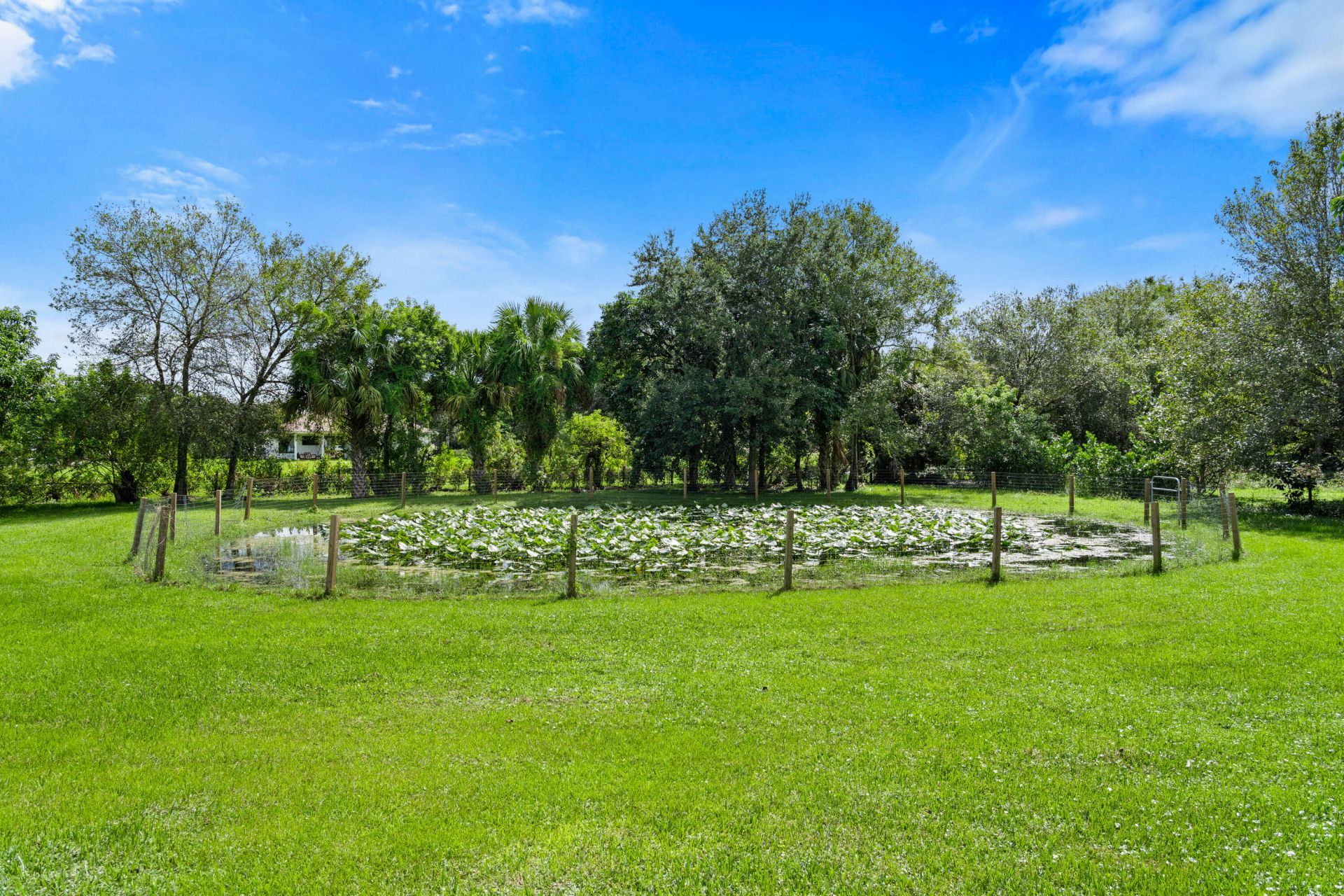 15338 97th Drive N, Jupiter, FL 33478 Photo