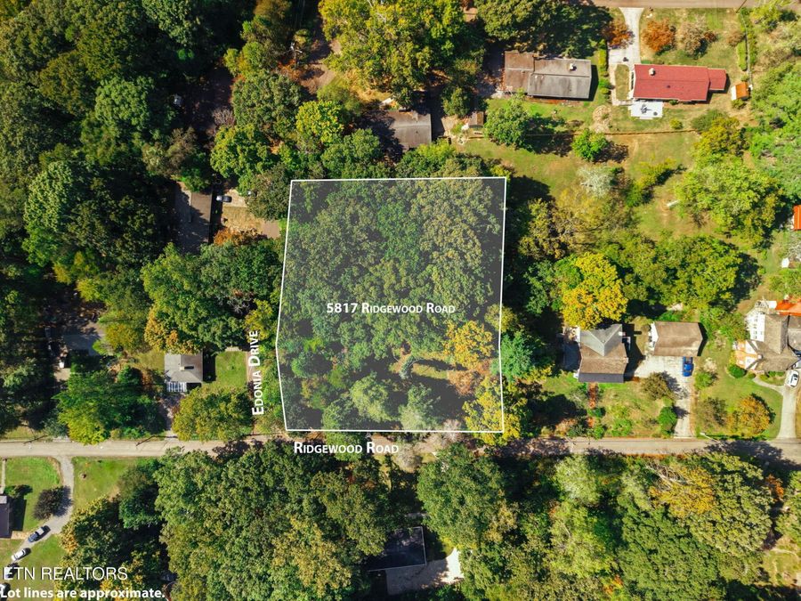 Property Image 5