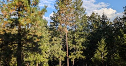 21895 One Fine Pl, Colfax, CA 95713 Photo