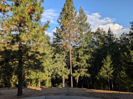 21895 One Fine Pl, Colfax, CA 95713 Photo
