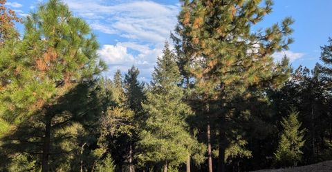 21895 One Fine Pl, Colfax, CA 95713 Photo