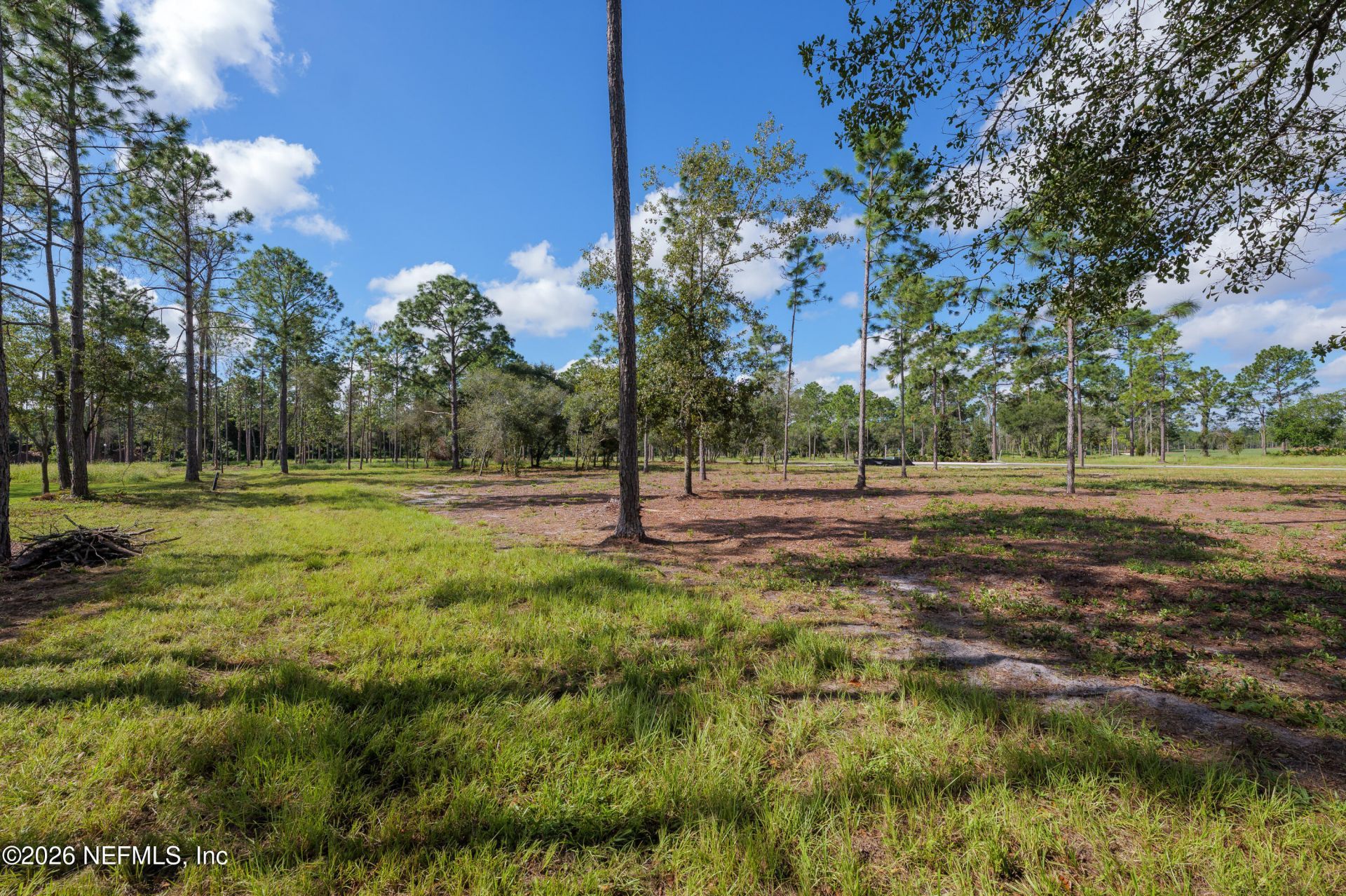 4523 Feather Moss Court, Jacksonville, FL 32224 Photo