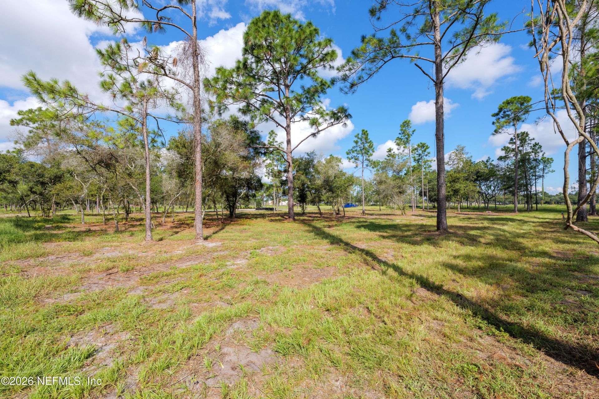 4523 Feather Moss Court, Jacksonville, FL 32224 Photo