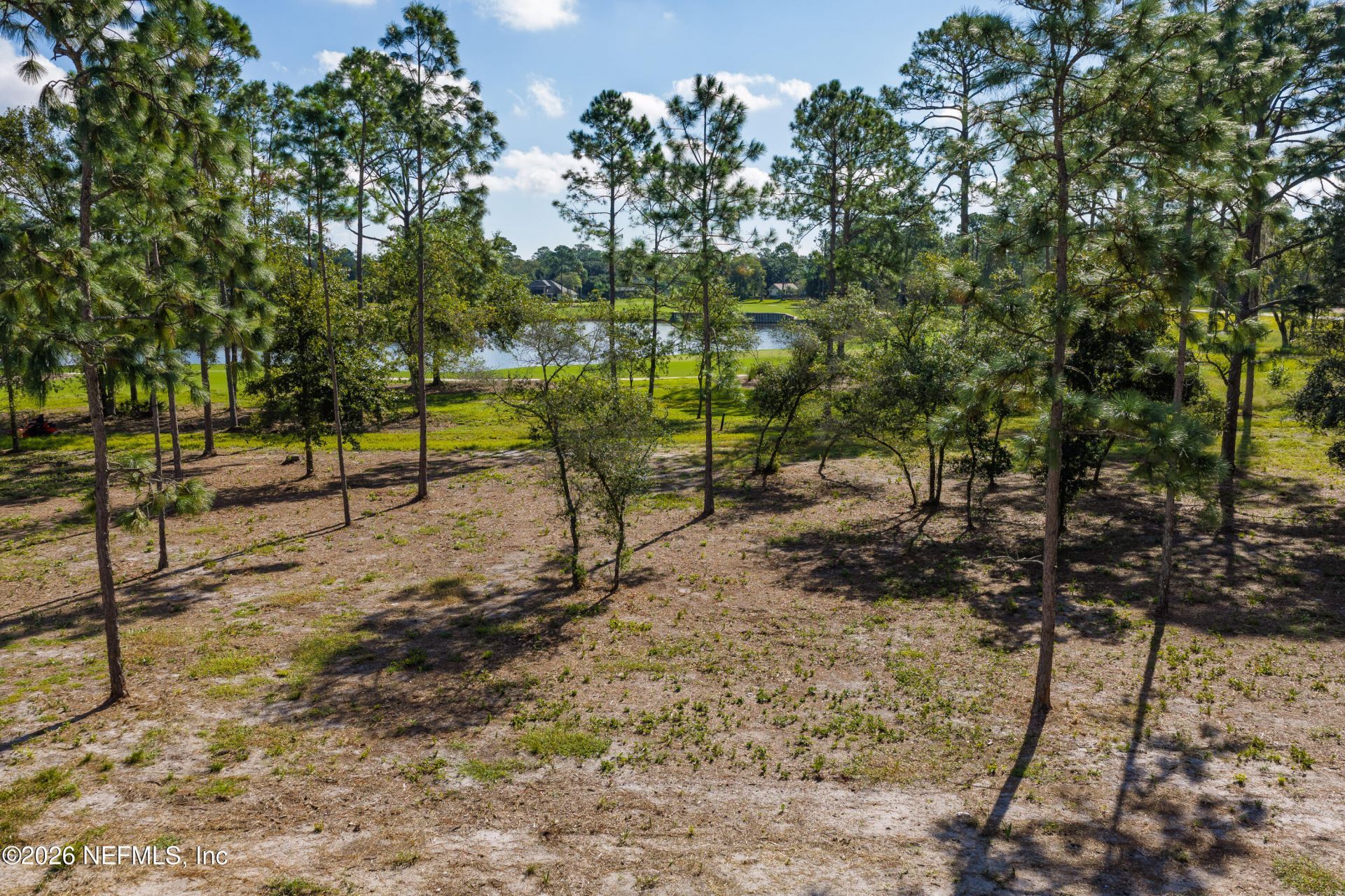 4523 Feather Moss Court, Jacksonville, FL 32224 Photo