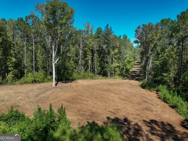 0 Buck Run Road, Talbotton, GA 31827