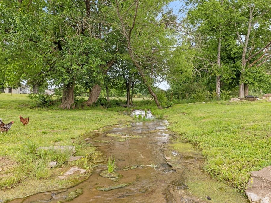 Property Image 19