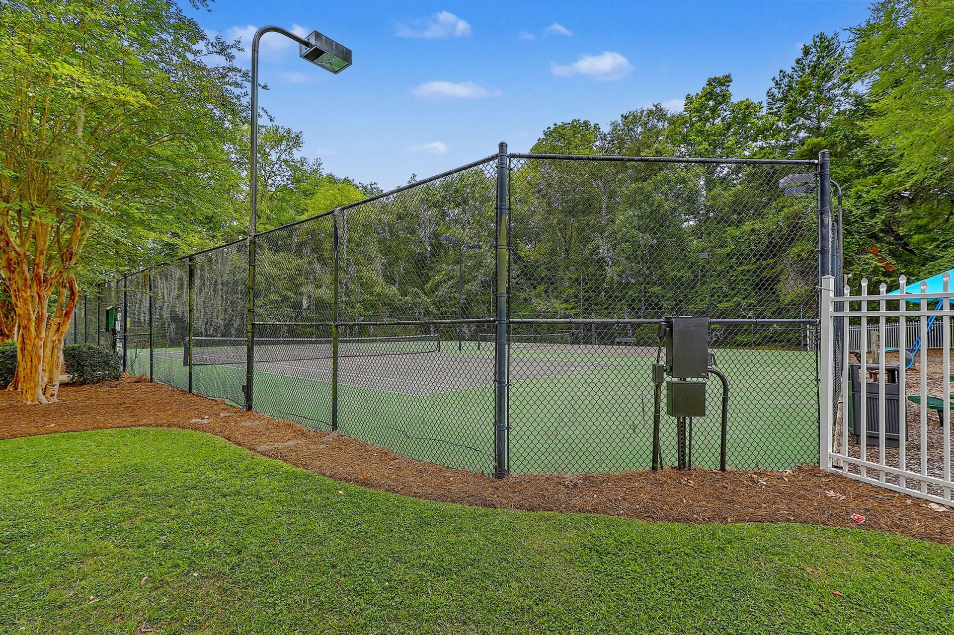 8656 Hickory Creek Lane Photo 43