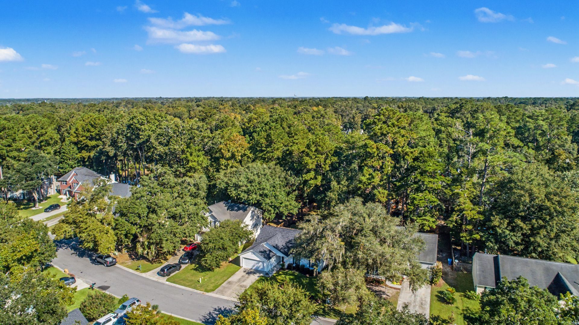 8656 Hickory Creek Lane Photo 49