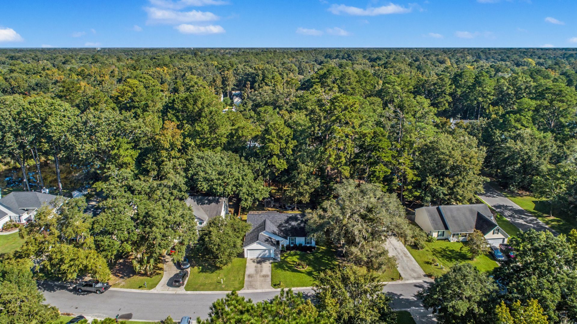 8656 Hickory Creek Lane Photo 50