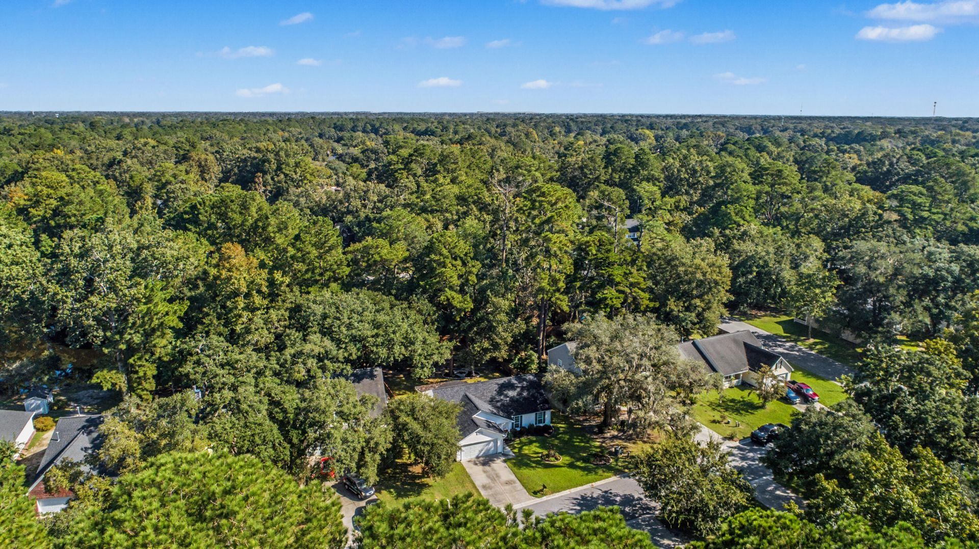 8656 Hickory Creek Lane Photo 51