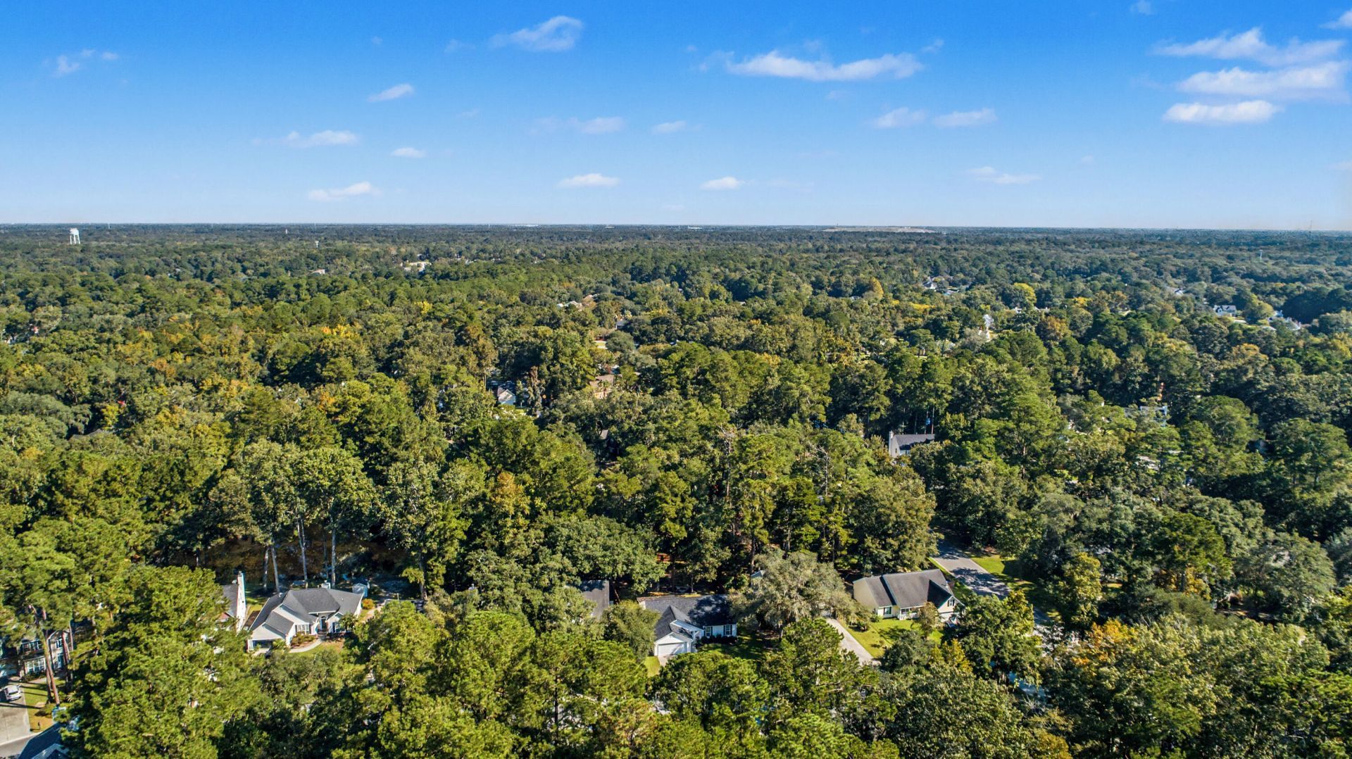 8656 Hickory Creek Lane Photo 53