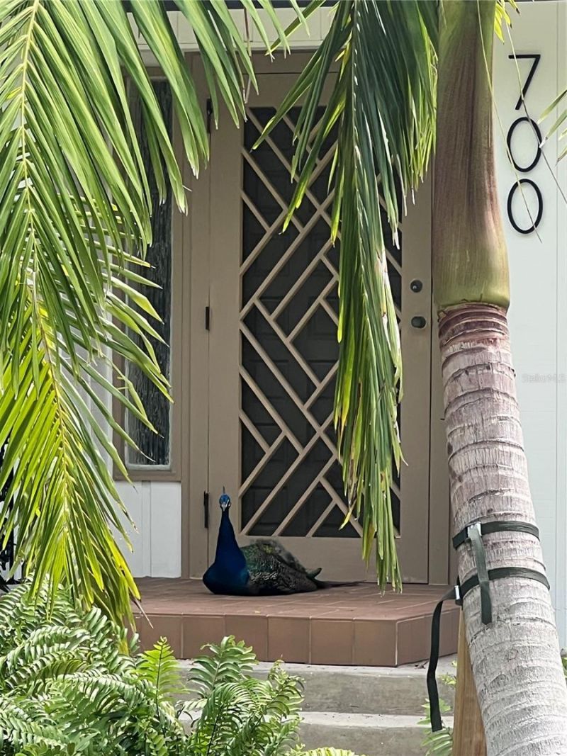 700 Longboat Court , Longboat Key, FL 34228 Photo