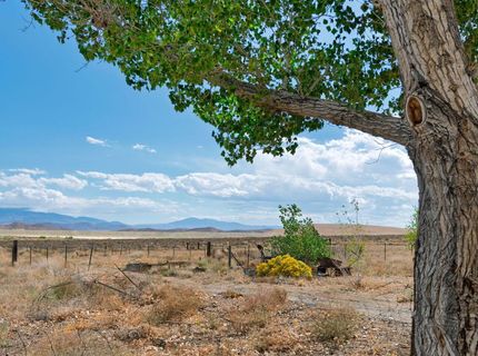 30 Locust Drive, Yerington, NV 89447 Photo