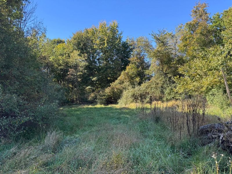0 Liberty Church Road, Johnstown, OH 43031 Photo 12