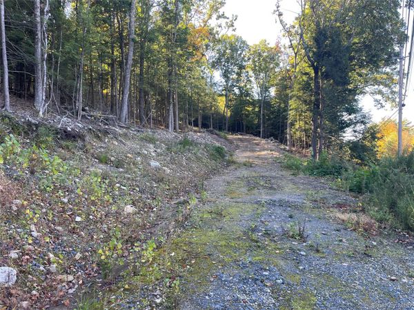 Mamakating Road , Wurtsboro, NY 12790