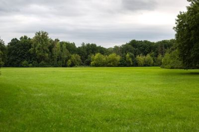 0 Sturgeon Creek Rd, Lot #Lot #2, Cedar Hill, TN 37032 Main Photo