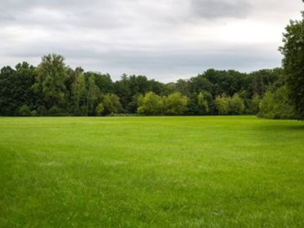 0 Sturgeon Creek Rd, Unit Lot #2, Cedar Hill, TN 37032