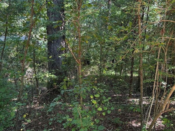 TBD Bedford Creek Road , Ellenboro, NC 28040